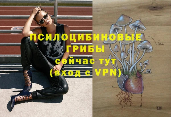 прущая мука Беломорск